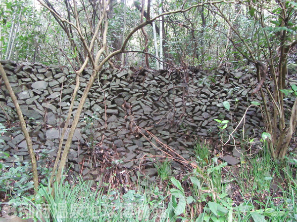 乙原の滝へ行く山道の途中にある輝石安山岩の石垣。撮影者・若松君子さん