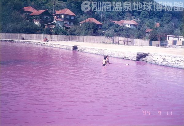 写真9　紫色のプール