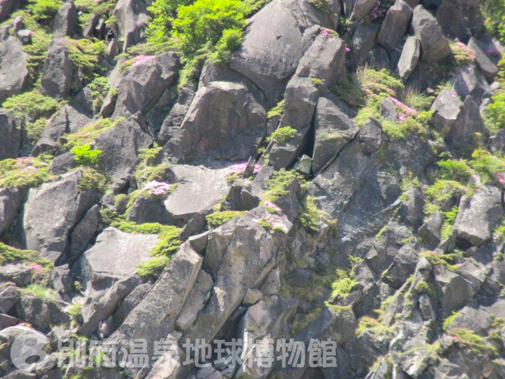 クリックして拡大